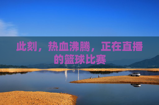 此刻,热血沸腾,正在直播的篮球比赛