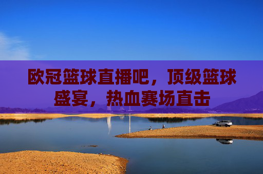 欧冠篮球直播吧,顶级篮球盛宴,热血赛场直击