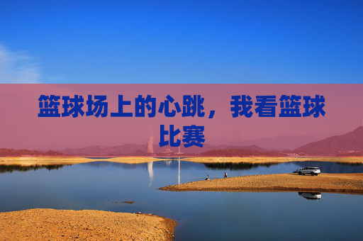 篮球场上的心跳，我看篮球比赛