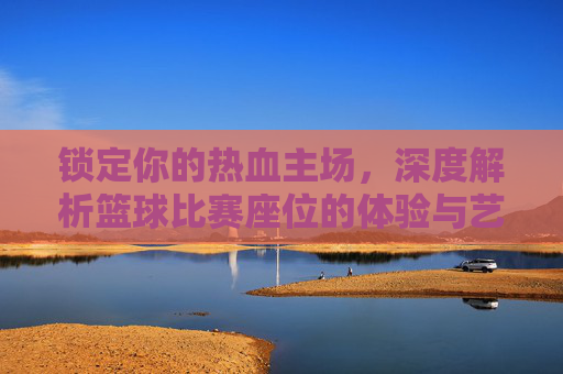 锁定你的热血主场,深度解析篮球比赛座位的体验与艺术