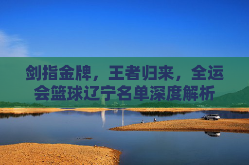 剑指金牌,王者归来,全运会篮球辽宁名单深度解析