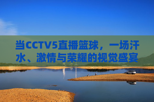 当CCTV5直播篮球,一场汗水、激情与荣耀的视觉盛宴
