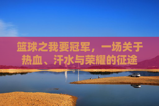 篮球之我要冠军,一场关于热血、汗水与荣耀的征途