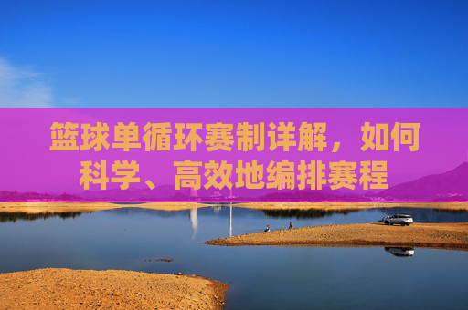 篮球单循环赛制详解,如何科学、高效地编排赛程