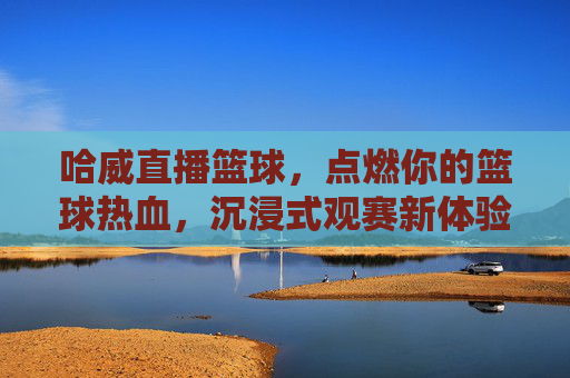 哈威直播篮球,点燃你的篮球热血,沉浸式观赛新体验