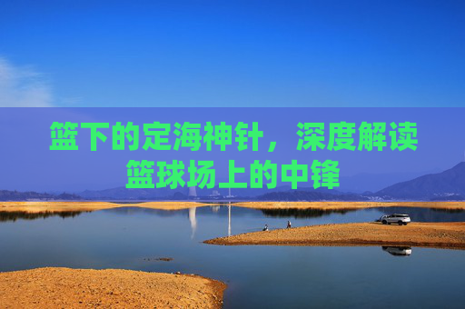 篮下的定海神针,深度解读篮球场上的中锋
