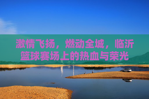 激情飞扬,燃动全城,临沂篮球赛场上的热血与荣光