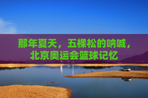 那年夏天,五棵松的呐喊,北京奥运会篮球记忆