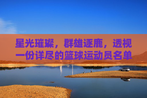 星光璀璨,群雄逐鹿,透视一份详尽的篮球运动员名单