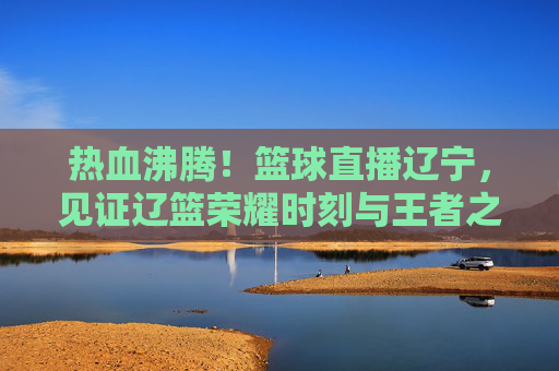 热血沸腾!篮球直播辽宁,见证辽篮荣耀时刻与王者之路