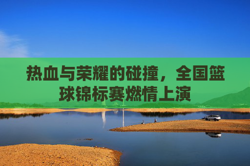 热血与荣耀的碰撞,全国篮球锦标赛燃情上演