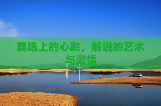 赛场上的心跳,解说的艺术与激情