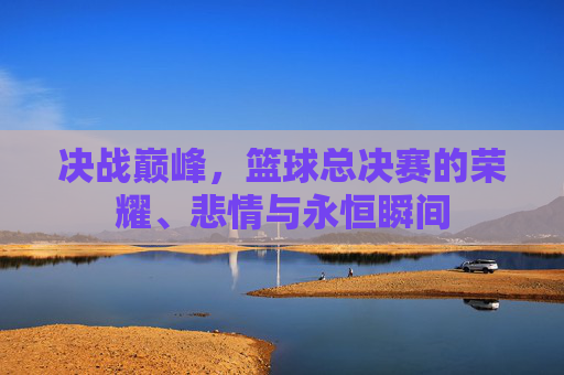 决战巅峰,篮球总决赛的荣耀、悲情与永恒瞬间