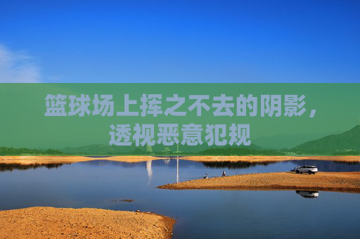 篮球场上挥之不去的阴影,透视恶意犯规