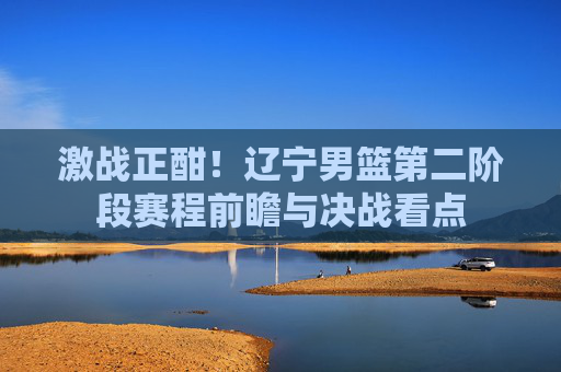 激战正酣!辽宁男篮第二阶段赛程前瞻与决战看点