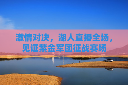激情对决,湖人直播全场,见证紫金军团征战赛场