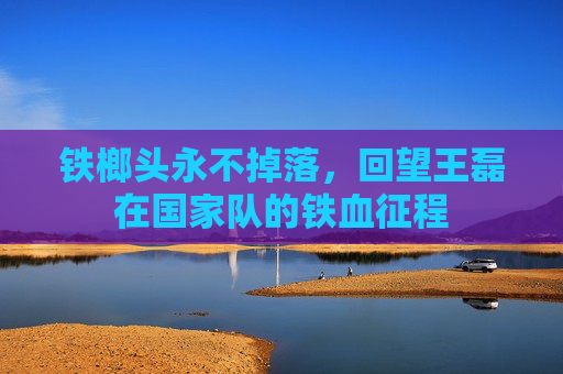 铁榔头永不掉落,回望王磊在国家队的铁血征程
