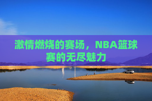 激情燃烧的赛场,NBA篮球赛的无尽魅力