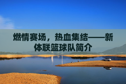 燃情赛场,热血集结——新体联篮球队简介