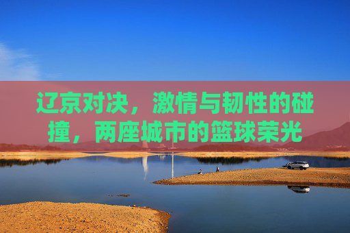 辽京对决，激情与韧性的碰撞，两座城市的篮球荣光