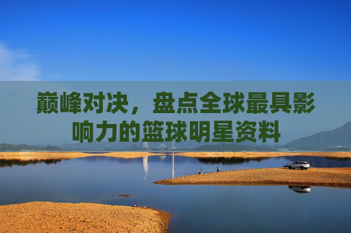 巅峰对决,盘点全球最具影响力的篮球明星资料