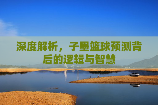 深度解析，子墨篮球预测背后的逻辑与智慧
