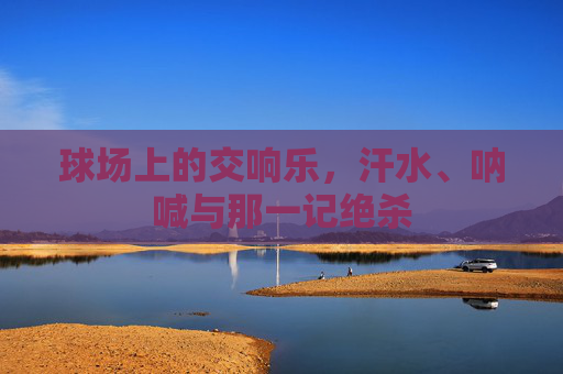 球场上的交响乐,汗水、呐喊与那一记绝杀