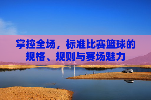 掌控全场,标准比赛篮球的规格、规则与赛场魅力