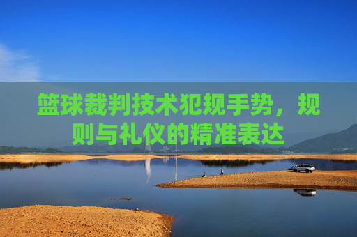 篮球裁判技术犯规手势，规则与礼仪的精准表达