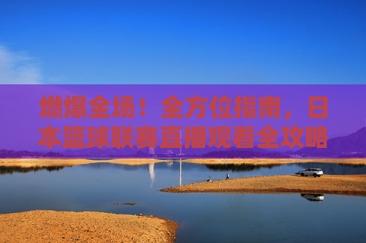 燃爆全场!全方位指南,日本篮球联赛直播观看全攻略