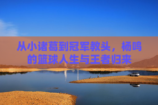 从小诸葛到冠军教头，杨鸣的篮球人生与王者归来
