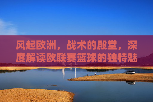 风起欧洲,战术的殿堂,深度解读欧联赛篮球的独特魅力
