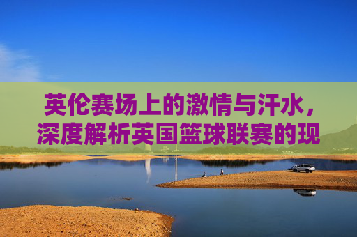 英伦赛场上的激情与汗水,深度解析英国篮球联赛的现状与未来