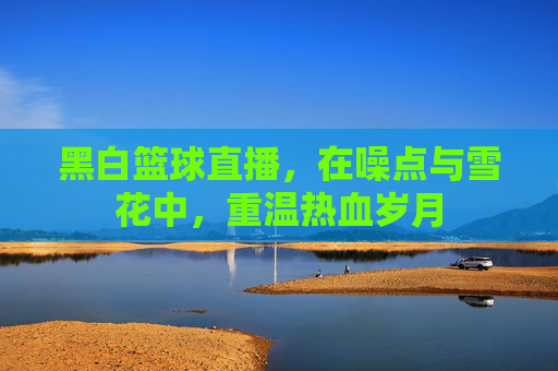 黑白篮球直播，在噪点与雪花中，重温热血岁月