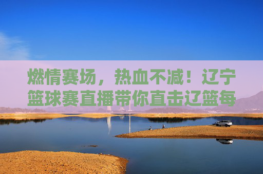 燃情赛场，热血不减！辽宁篮球赛直播带你直击辽篮每一刻