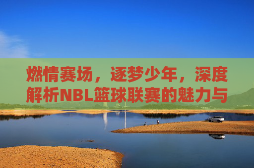 燃情赛场,逐梦少年,深度解析NBL篮球联赛的魅力与未来