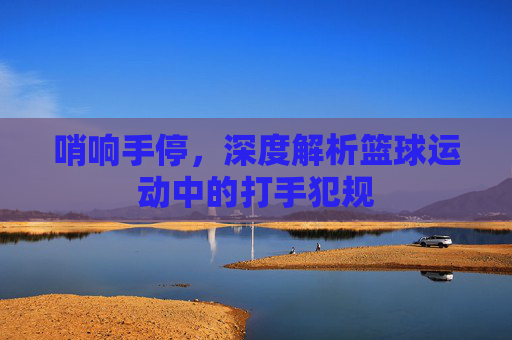哨响手停,深度解析篮球运动中的打手犯规
