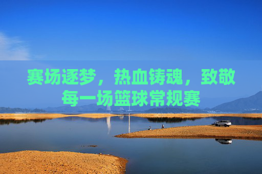赛场逐梦，热血铸魂，致敬每一场篮球常规赛