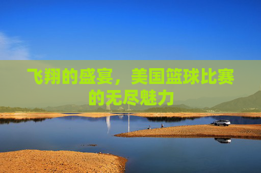 飞翔的盛宴,美国篮球比赛的无尽魅力