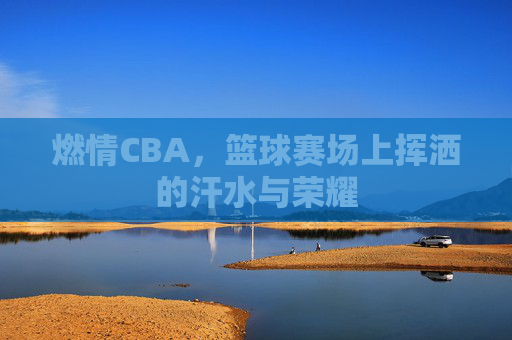燃情CBA,篮球赛场上挥洒的汗水与荣耀
