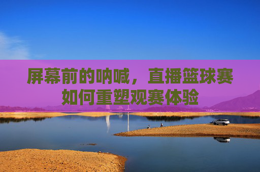 屏幕前的呐喊,直播篮球赛如何重塑观赛体验