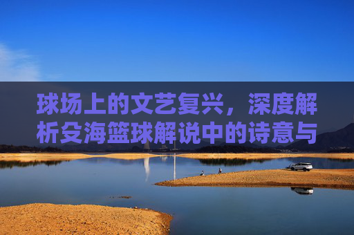 球场上的文艺复兴,深度解析殳海篮球解说中的诗意与理性