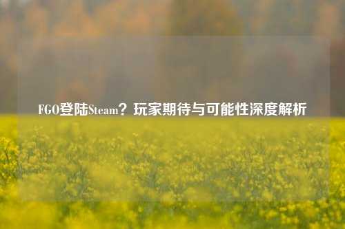 FGO登陆Steam？玩家期待与可能性深度解析