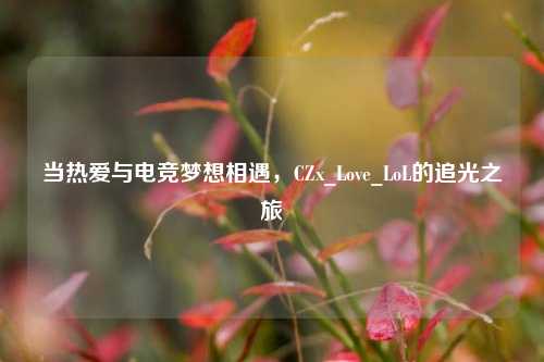 当热爱与电竞梦想相遇,CZx_Love_LoL的追光之旅