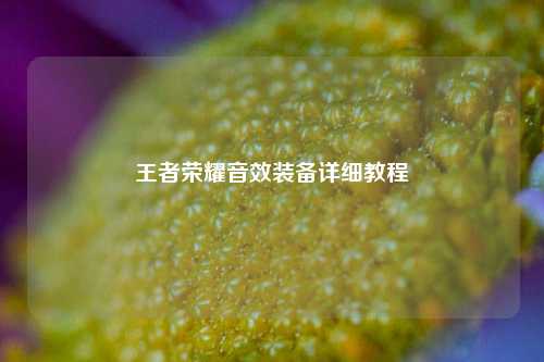王者荣耀音效装备详细教程