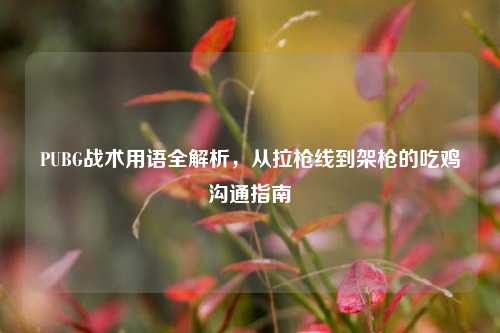 PUBG战术用语全解析，从拉枪线到架枪的吃鸡沟通指南