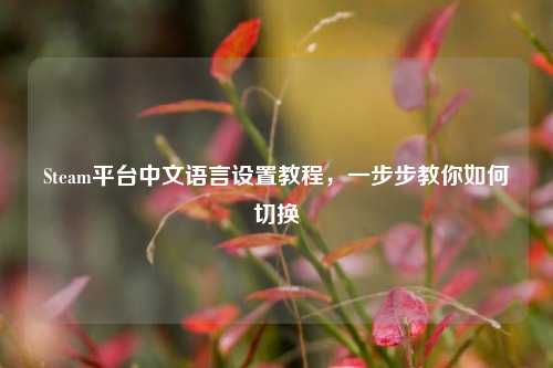Steam平台中文语言设置教程，一步步教你如何切换