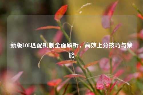 新版LOL匹配机制全面解析，高效上分技巧与策略