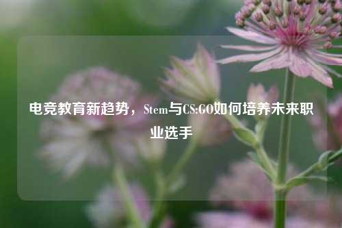 电竞教育新趋势，Stem与CS:GO如何培养未来职业选手