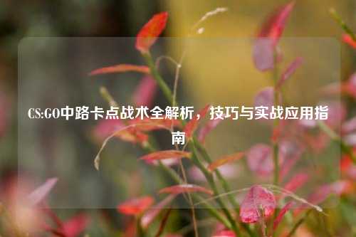 CS:GO中路卡点战术全解析，技巧与实战应用指南
